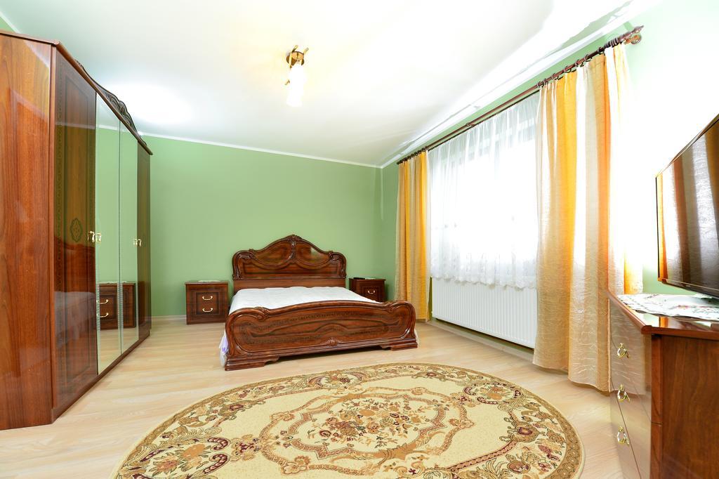 Hotel Casa Daria Haţeg Pokój zdjęcie